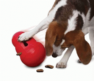 Kong Wobbler Dog Toy Food Dispenser