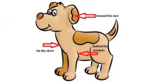 Awesome Cartoon Dog Side View