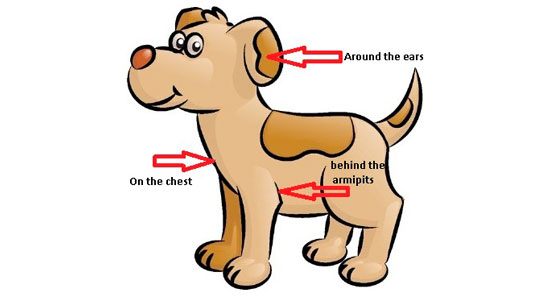 Awesome Cartoon Dog Side View