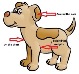 Awesome Cartoon Dog Side View
