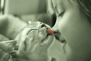 Cat is kissing a child