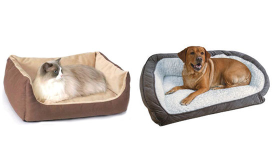 dog and cat sitting on Heated Pet Beds