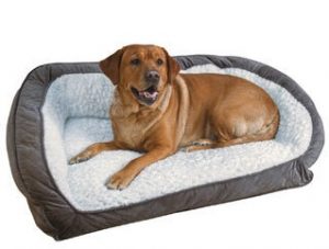Dog sitting on a Heated Pet Bed