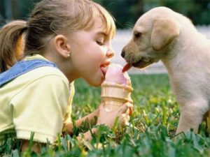 Girl And Dog Sharing Ice C